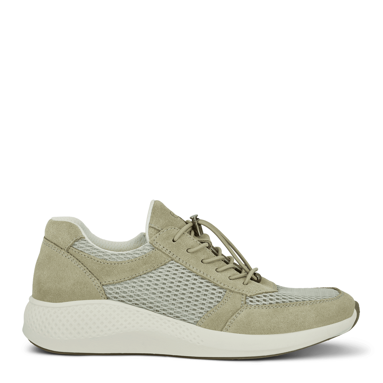 DOLPHIN DICTE - SAGE